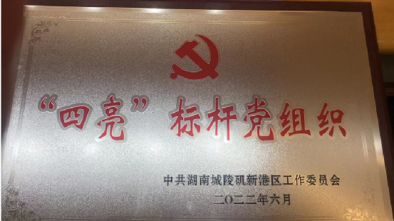 喜讯！恭喜湖南鑫源链科技有限公司荣获2022年&ldquo;四亮&rdquo;标杆党组织称号